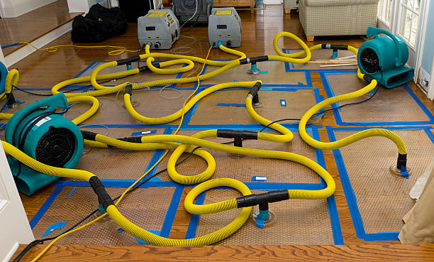 Professional Crawl Space Water Removal technician working in Hartford, MI